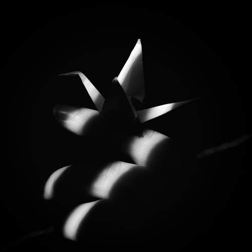 Фотография #5905106