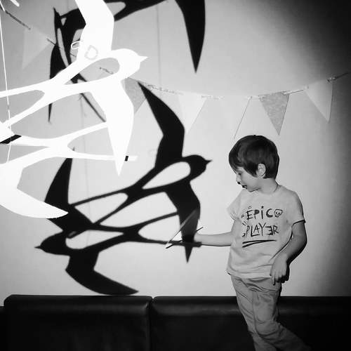 Photo #5905197