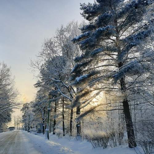Photo #5905245