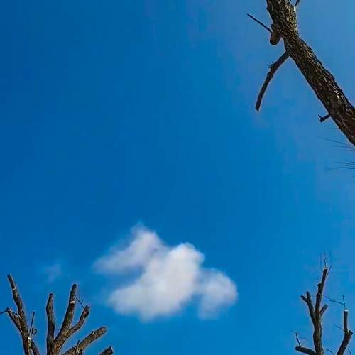 Photo #5905859
