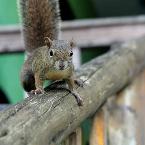 Photo #5905885