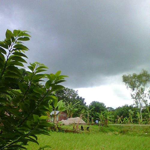 The rainy village
