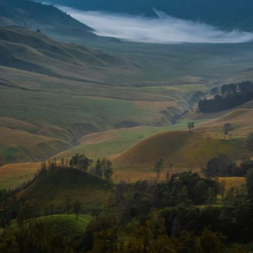 Photo #5905952