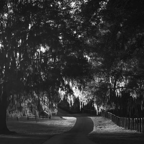 Photo #5906000