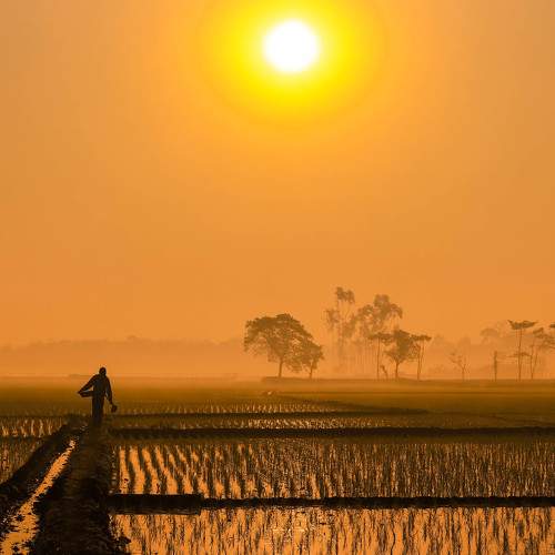 Photo #5906003