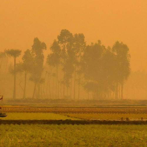 Photo #5906006