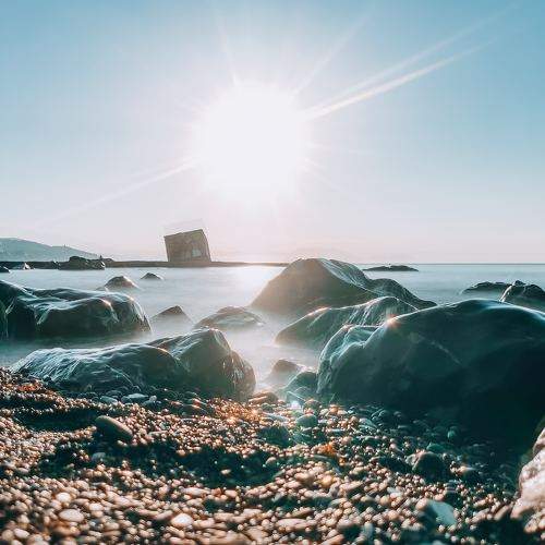 Photo #5906134