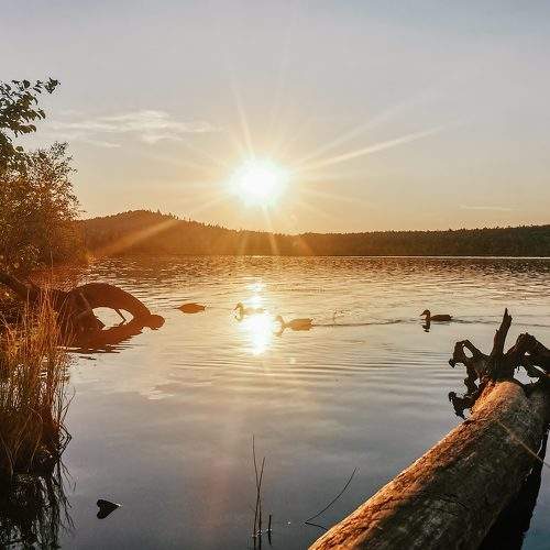 Photo #5906135