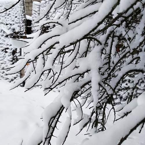 Photo #5906164
