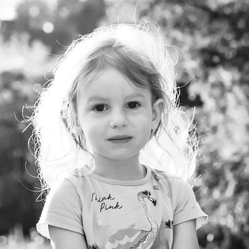 Photo #5906170