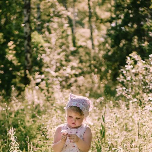 Photo #5906761
