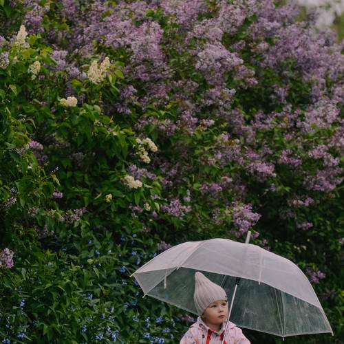 Photo #5906804