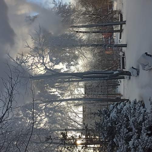 Photo #5906863
