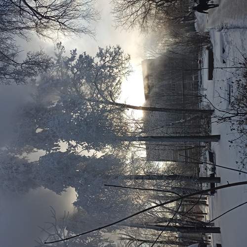 Photo #5906878