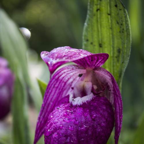 Photo #5906883