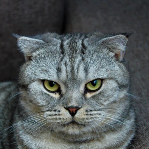 Photo #5906893