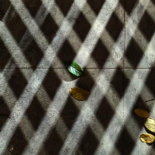 Photo #5907002