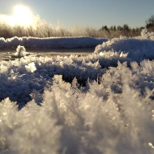 Photo #5907116