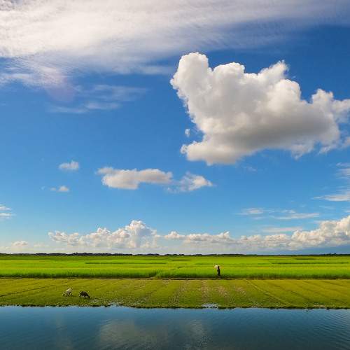 Bangla's Scotland
