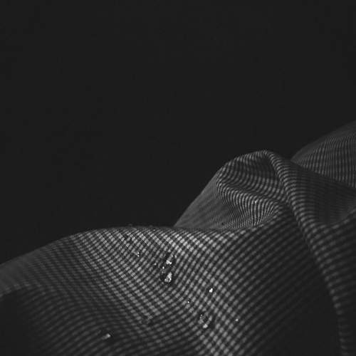 Фотография #5907443