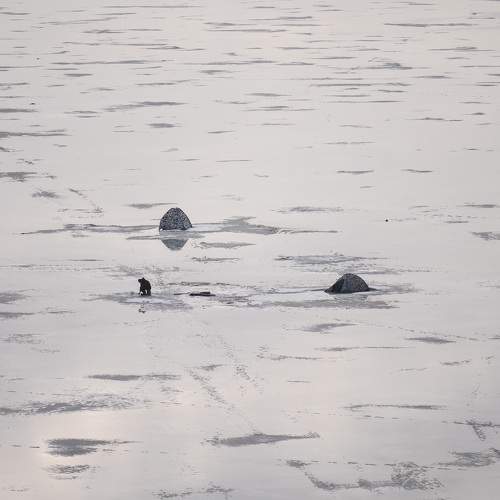 Photo #5907668