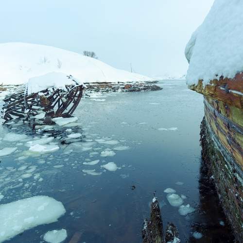 Photo #5907754