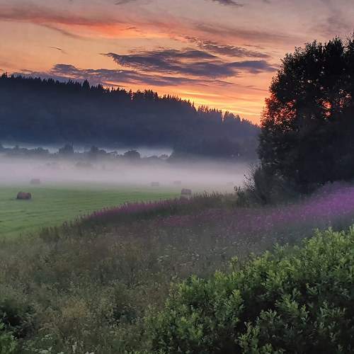 Summer evening.