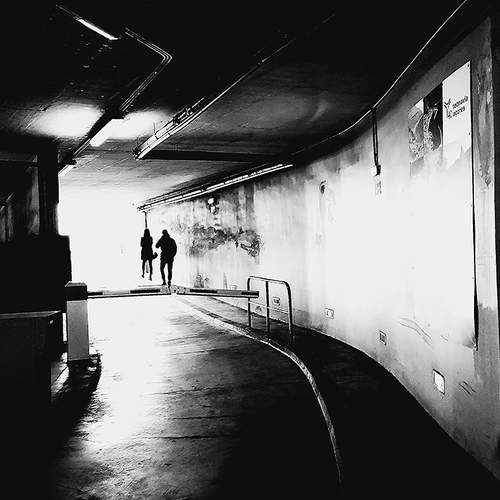 Light