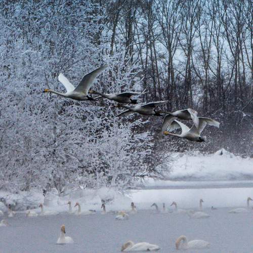 Photo #5908296