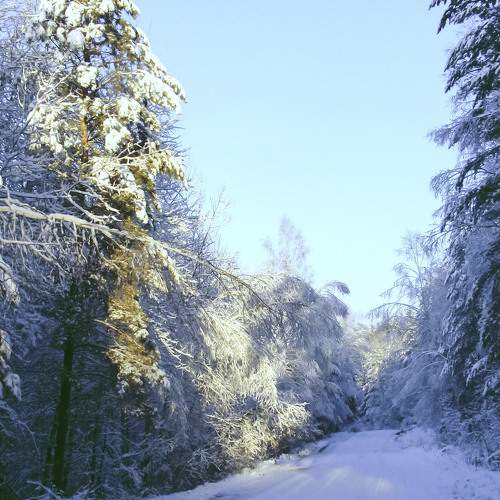 Photo #5908384
