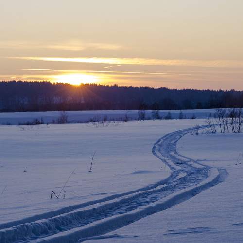 Photo #5908403