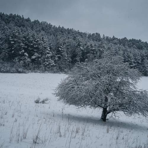 Photo #5908486