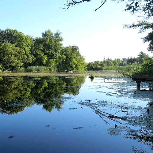 Photo #5908511