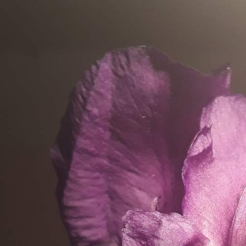 Photo #5908697