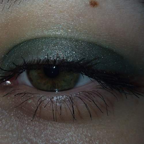 Photo #5908984