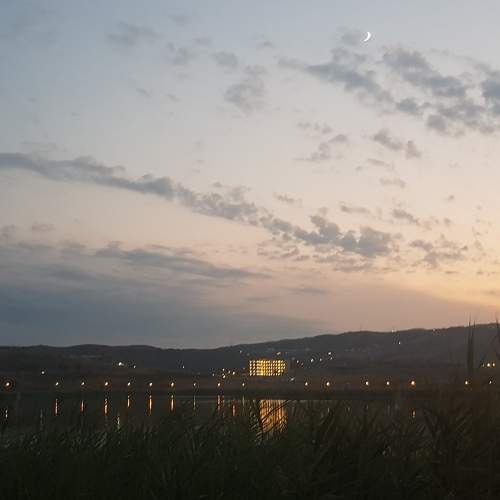 Photo #5908997