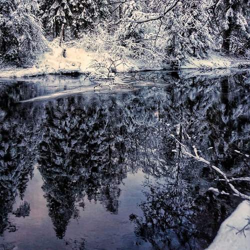 Photo #5909462