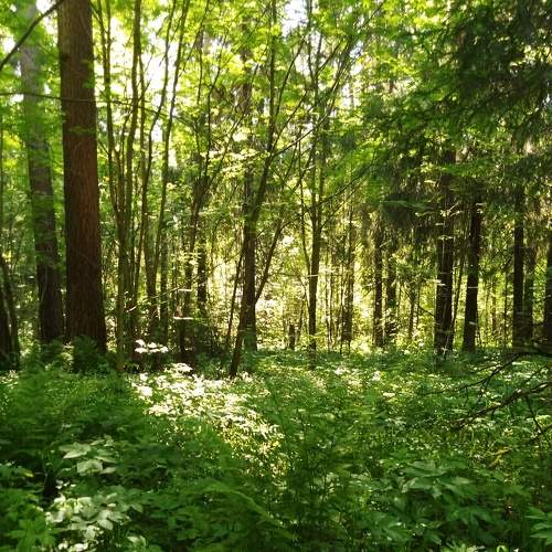 Photo #5909486