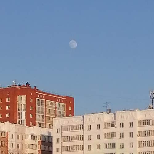 Photo #5909689