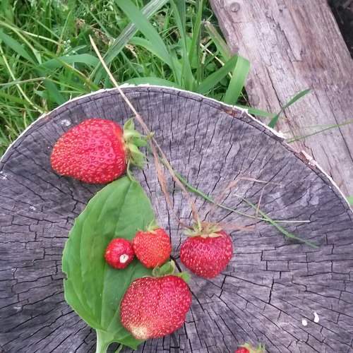Photo #5909753