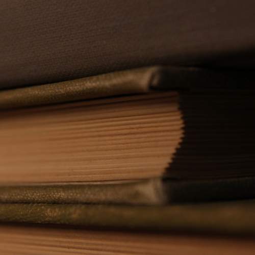Photo #5909943