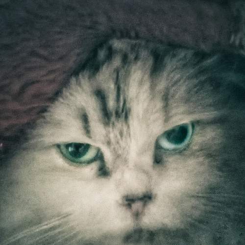 Photo #5909970