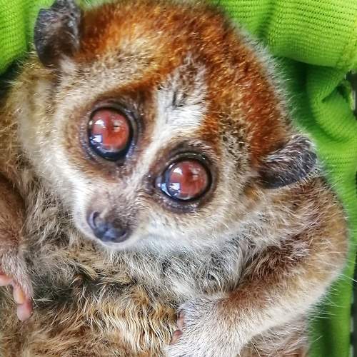Photo #5909972
