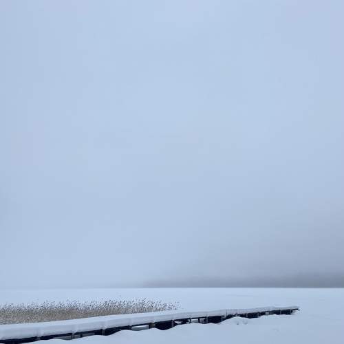 Photo #5910149