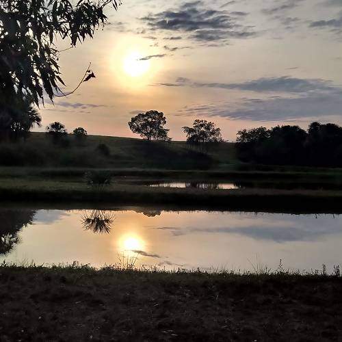 Photo #5910358