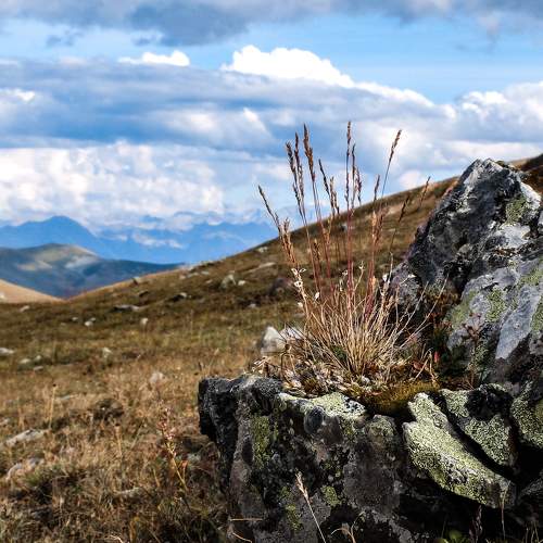 Photo #5910415