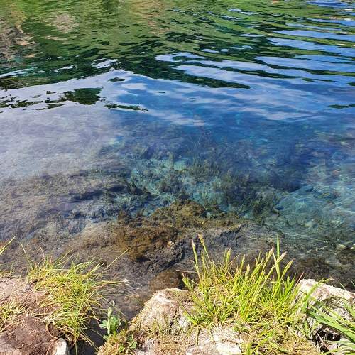 Photo #5910533