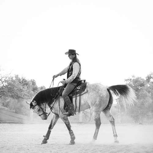 Photo #5910537