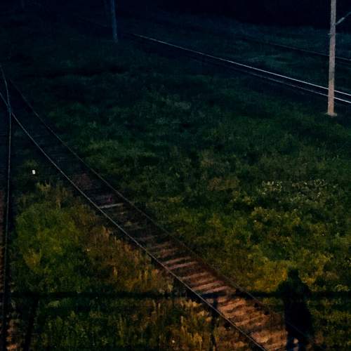 Photo #5910693