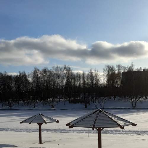 Photo #5910821